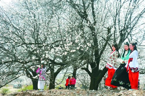 NBA 湖人vs勇士 直播